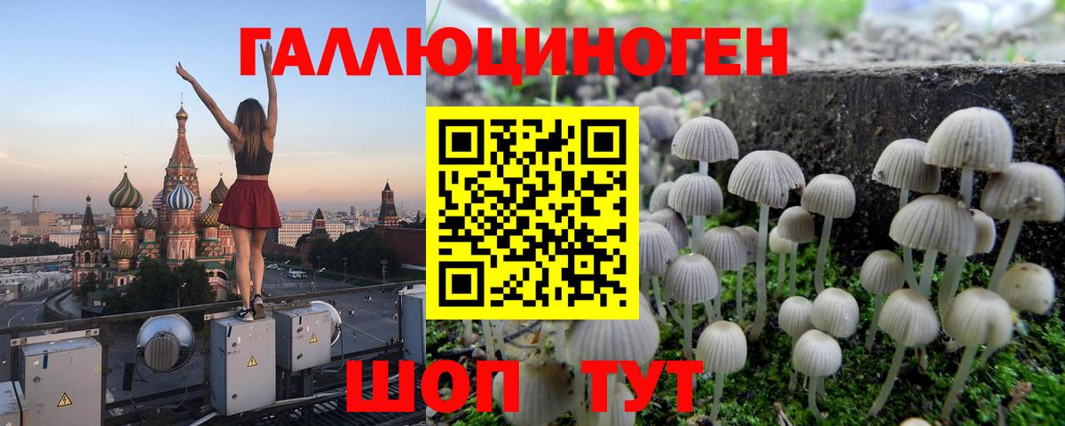 Галлюциногенные грибы Psilocybe Кимры